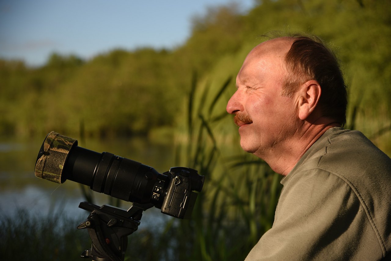 Naturfilm mit Relevanz - Ein Streifzug durch die Insektenwelt
