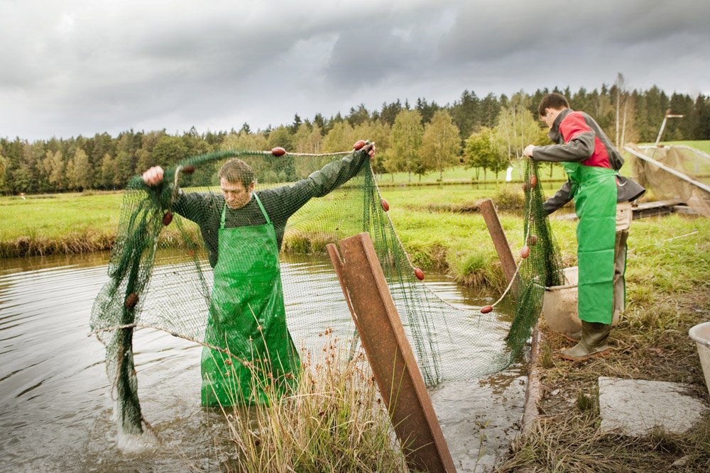 Tourismuszentrum Oberpfälzer Wald  Bild von Tobias Gerber Fischhof_Bächer