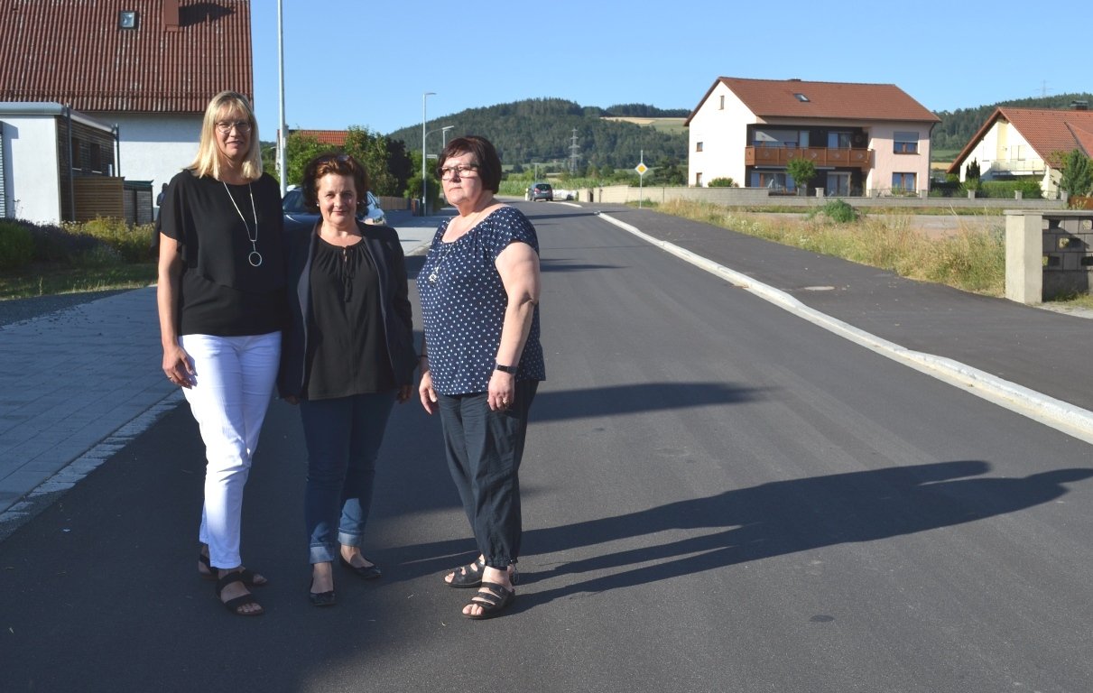 Trebsau Straße Bürgerinitiative