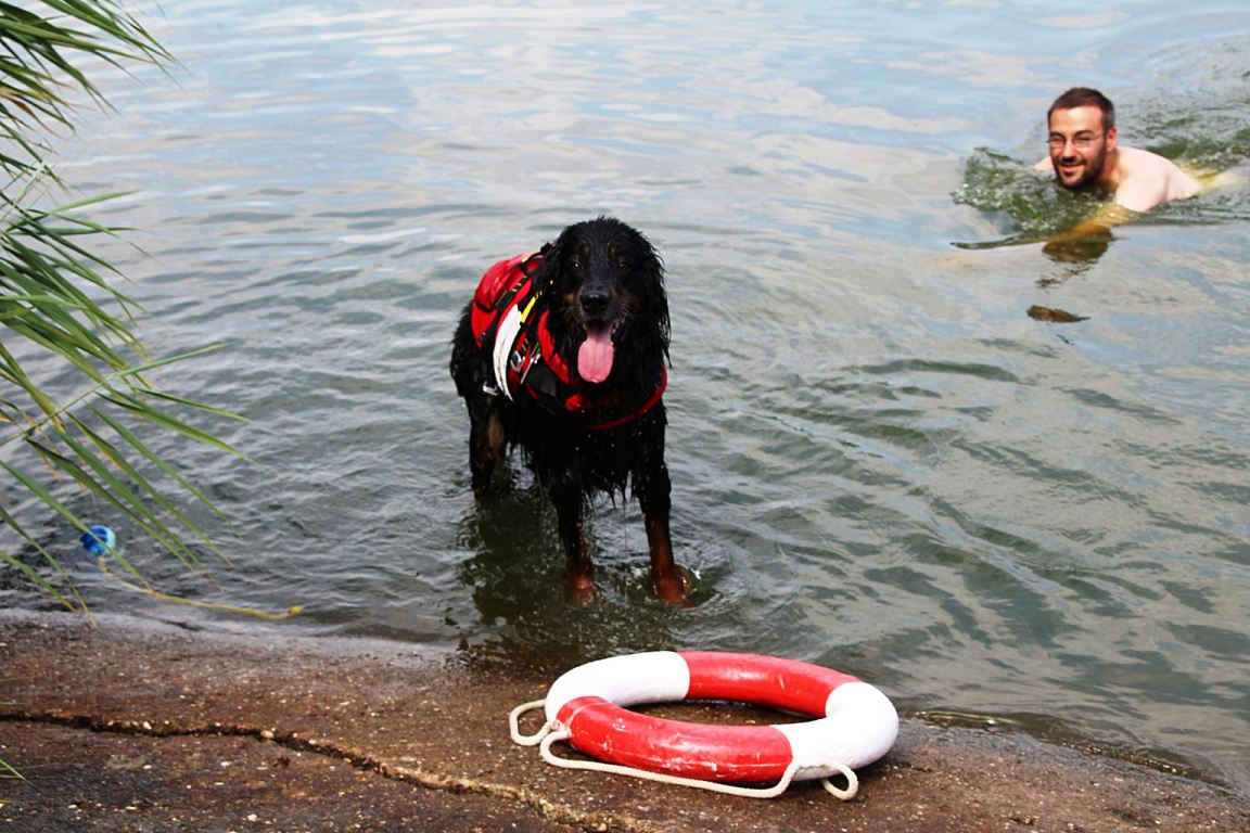 Übung BRK Rußweiher Wasserwacht Rotes Kreuz (3)