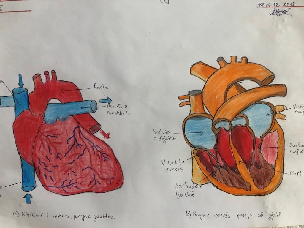 UNADJUSTEDNONRAW_thumb_1ce0