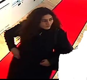 Unbekannte Frau, Täterin, Lichtbild