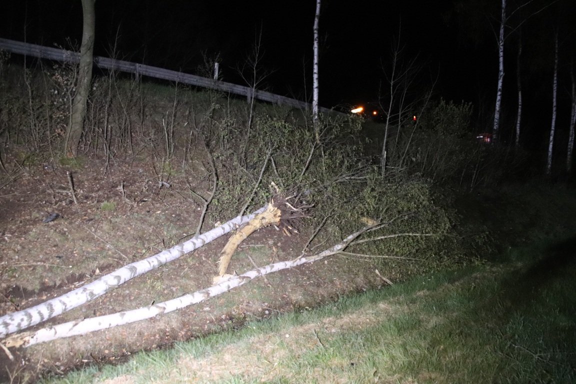 Unfall Autounfall Schwarzenbach Pressath Überschlag Feld Wiese Einsatzkräfte Bilder Jürgen Masching (6)