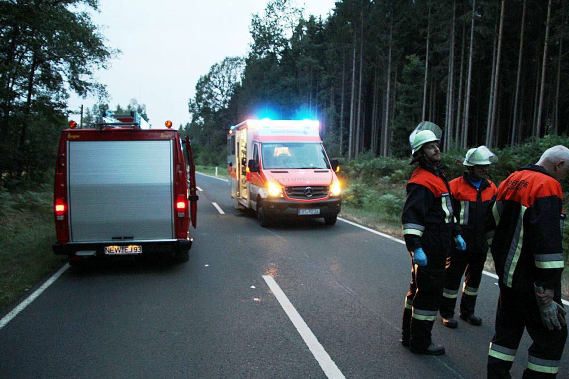 Unfall Motorradfahrer Zusammenstoß Reh (1)