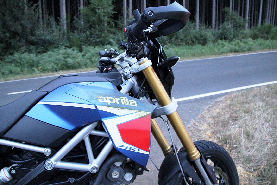 Unfall Motorradfahrer Zusammenstoß Reh (2)