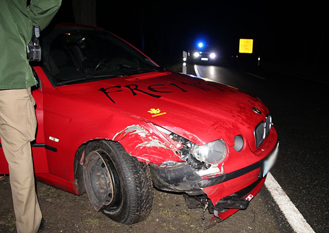 Autofahrer (19) kracht bei Neustadt/Kulm in Baum