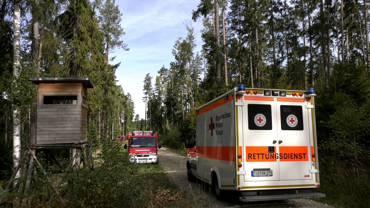 Mann (77) bei Waldarbeiten tödlich verletzt
