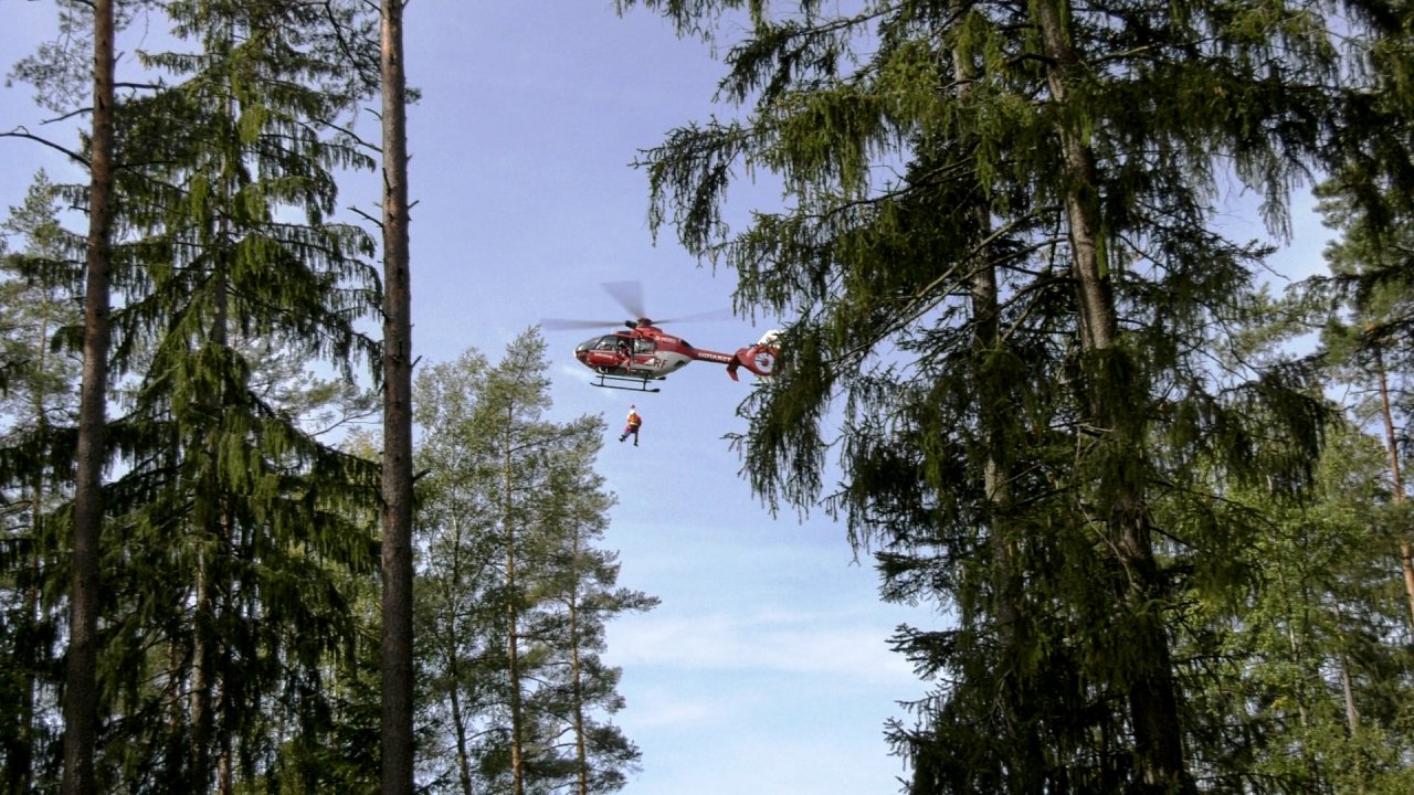 Unfall Steinwald Waldarbeiter schwer verletzt (2)