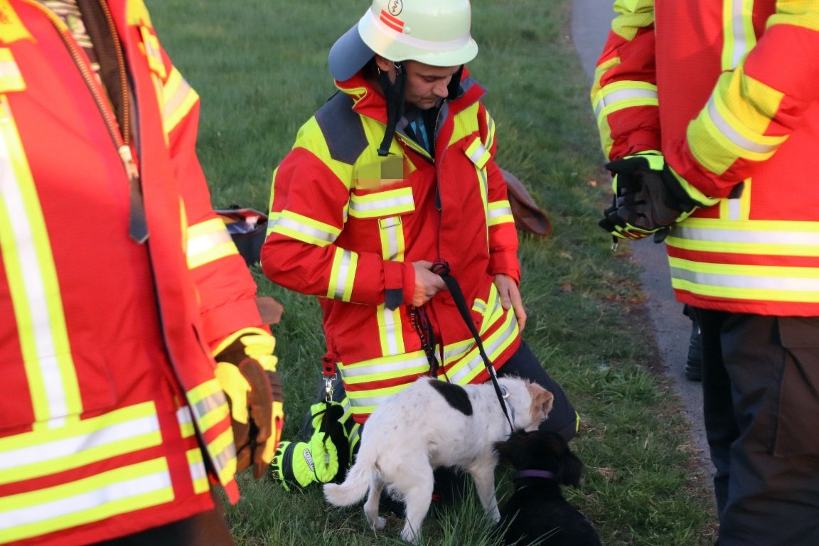 Unfall Verkehrsunfall Schwarzenbach Auto Baum Frau verletzt Rettungsdienst Krankenwagen Polizei Krankenhaus Bilder Jürgen Masching (3)