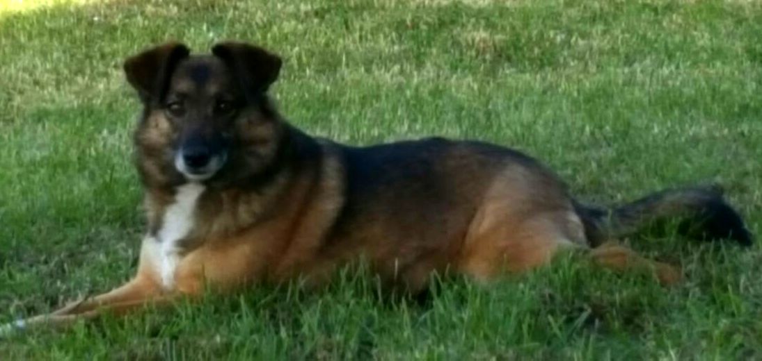 Unsere Trixie