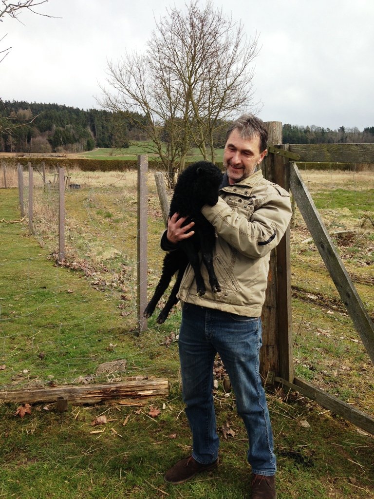 Tierpark Irchenrieth, Urban, Lamm