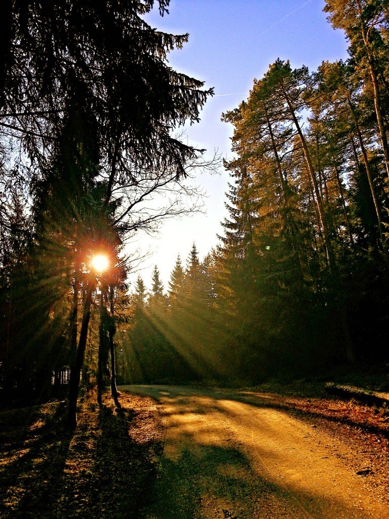 Frühling Nordoberpfalz