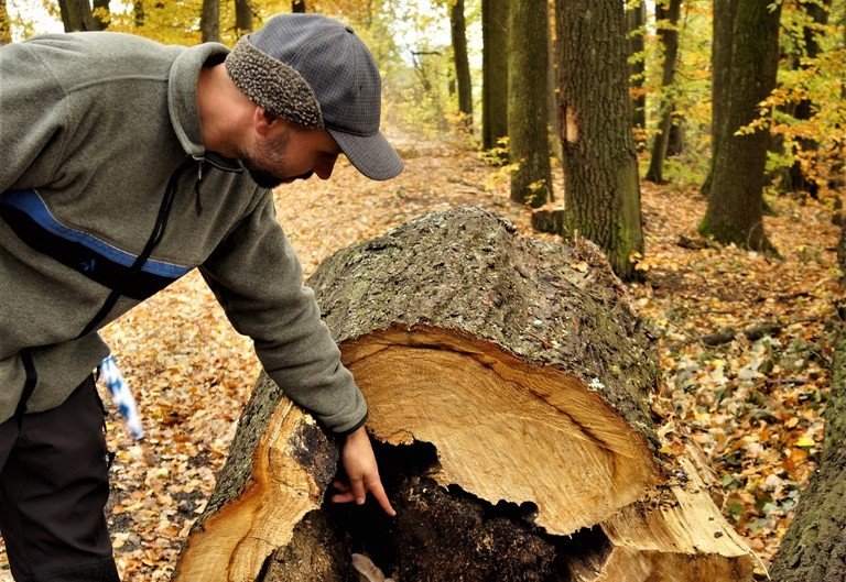 Waldbegehung NeustadtWN Top-Zustand Förster Andreas Arnold1