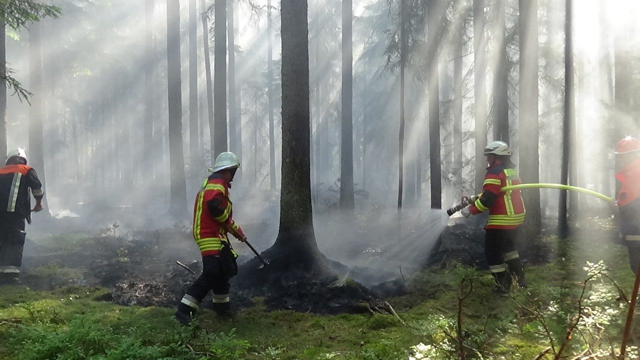 Waldbrand Eschenbach Penzenreuth Feuerwehr Einsatzkräfte Bild Jürgen Masching05