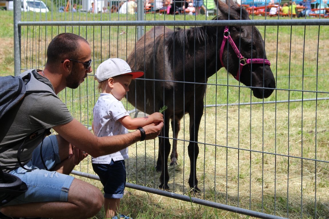 Esel Waldkinderfest Grafenwöhr  (72)