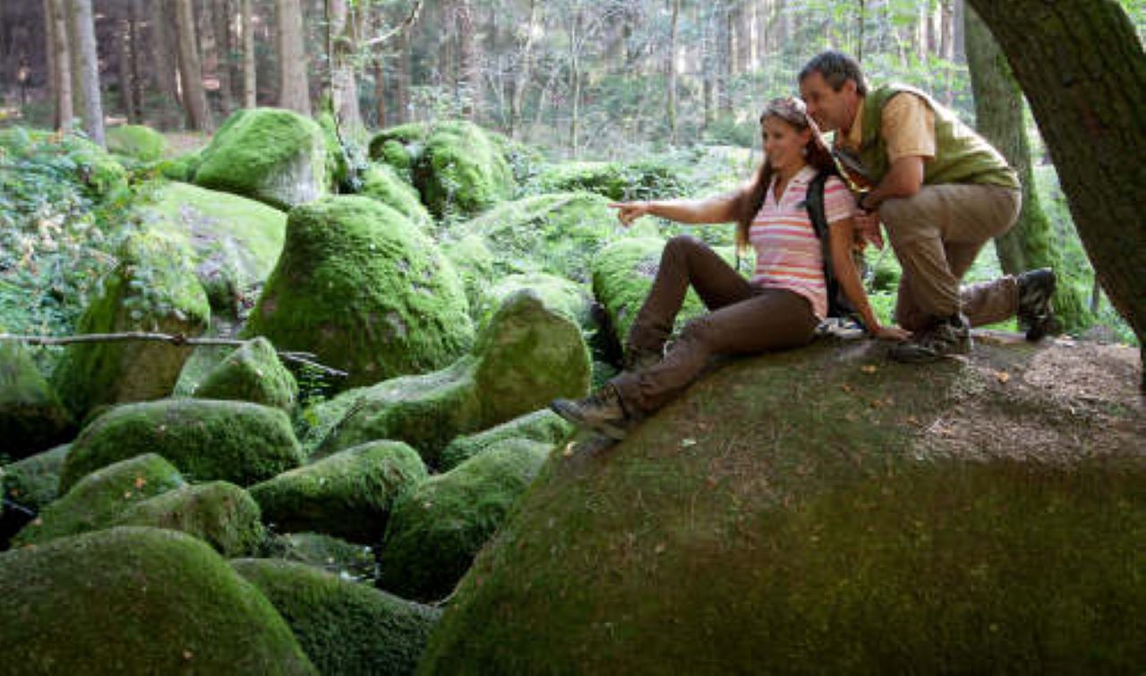 Kraftberge und Energietäler im Oberpfälzer Wald