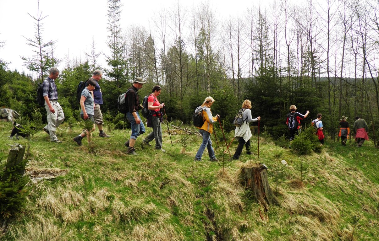 Das Jubiläumsjahr der Goldenen Straße mit einer Wanderung feiern
