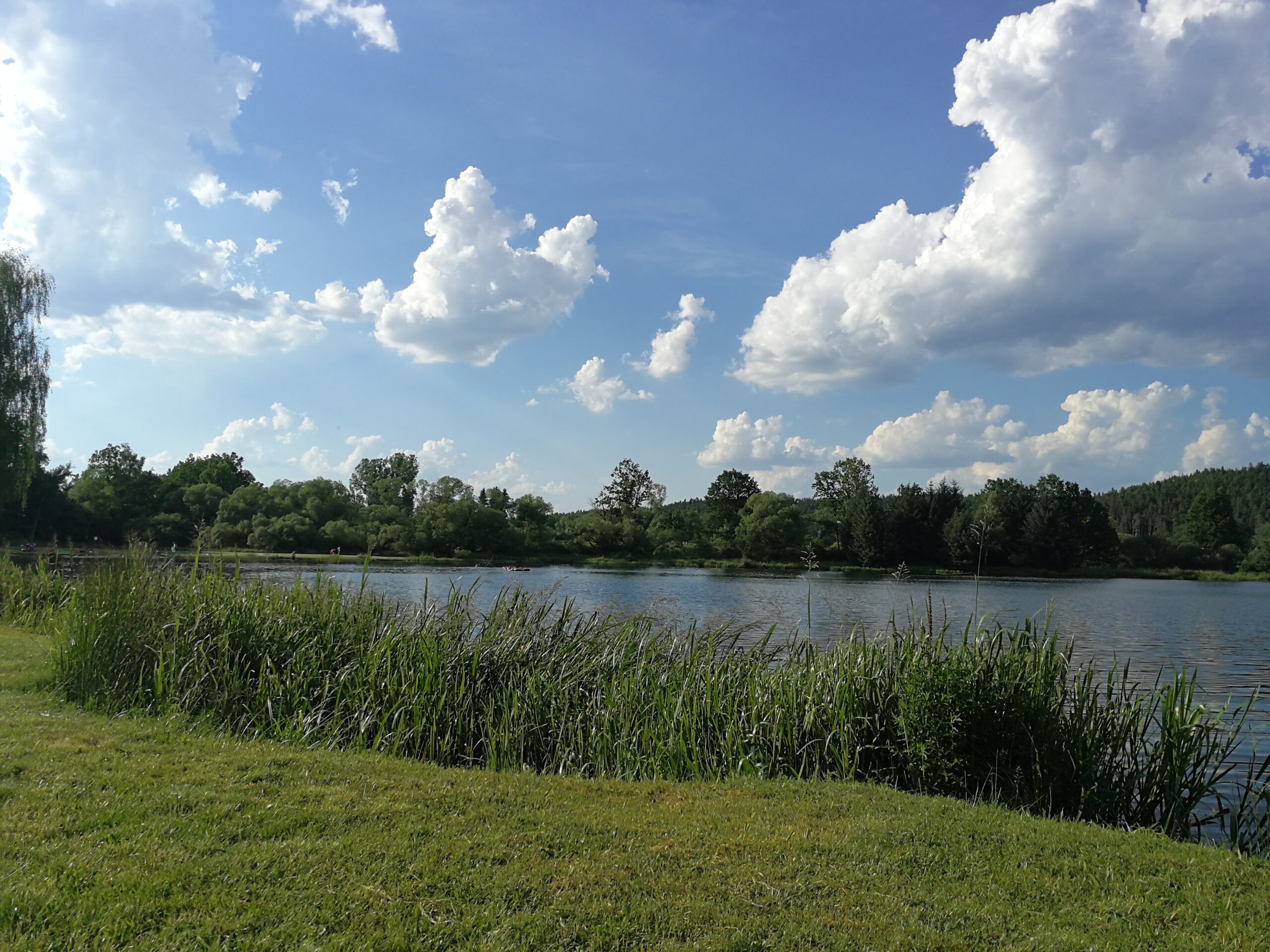 Weiher Weiherhammer Symbol Symbolbild Blauher Weiher