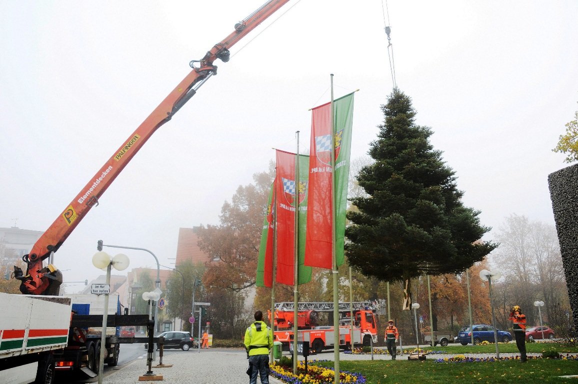 Weihnachtsbäume Weiden (2)