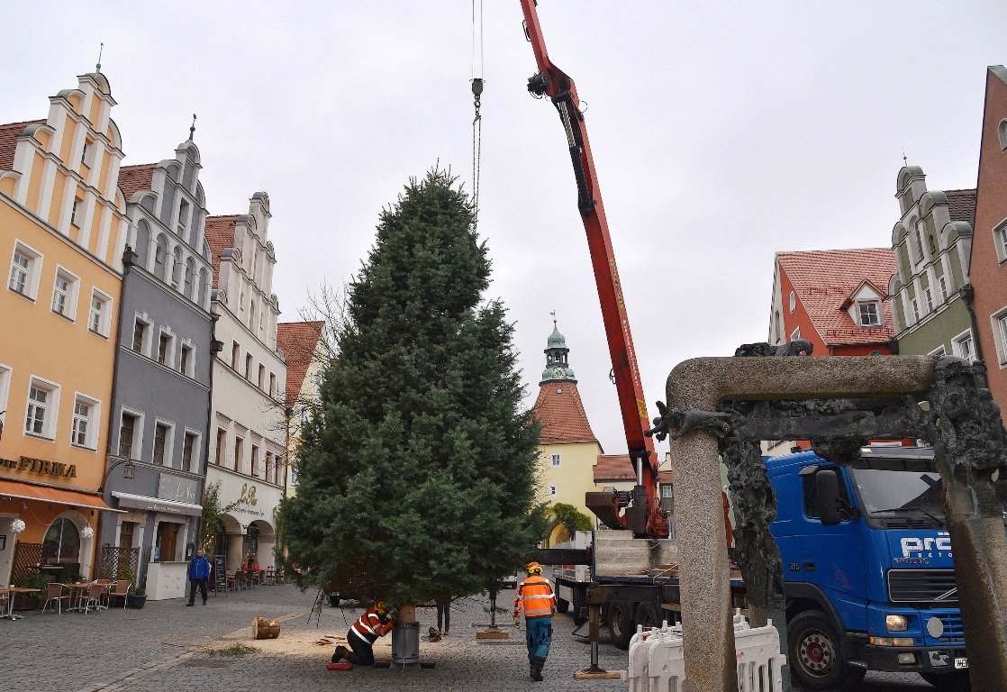 Weihnachtsbäume Weiden (2)