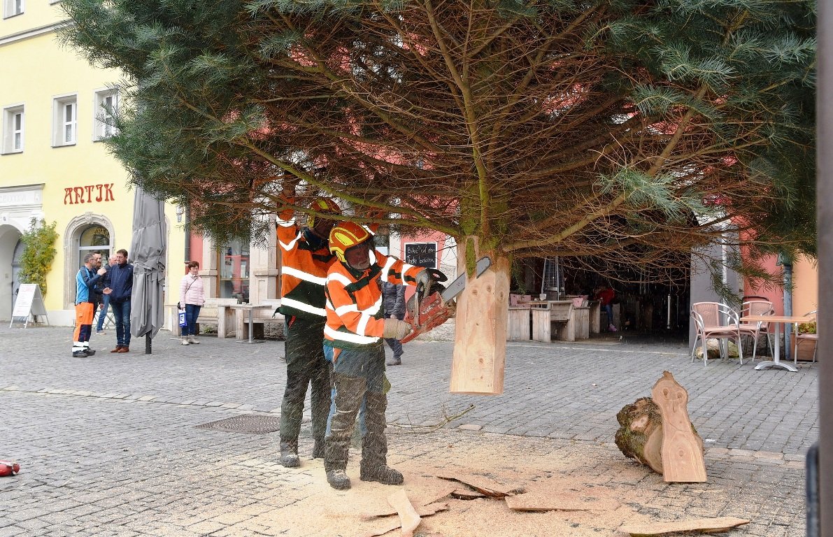 Weihnachtsbäume Weiden (4)