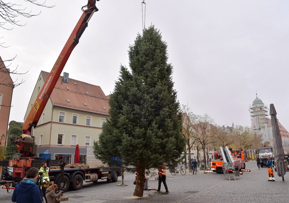 Weihnachtsbäume Weiden (5)