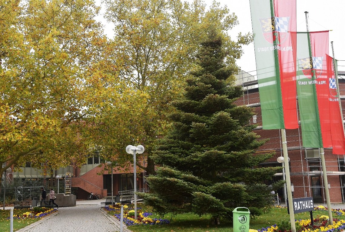 Weihnachtsbäume Weiden (6)