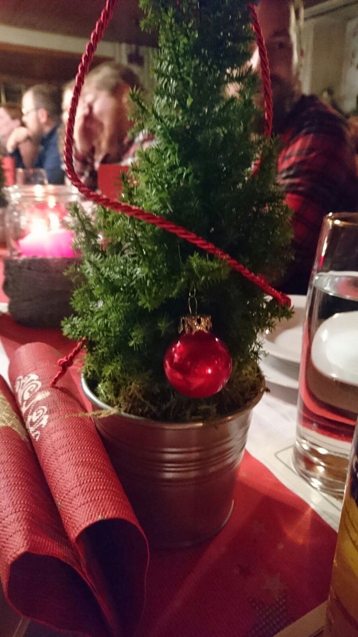 Sammelaktion für Christbäume