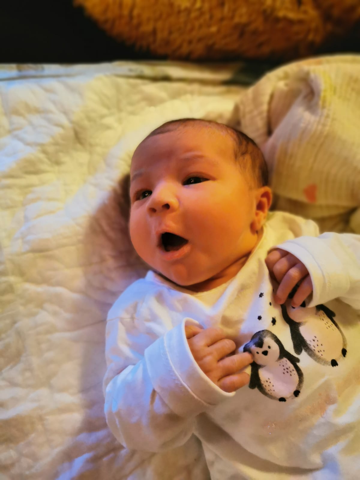 Babys 2020 Lina Fröhlich
