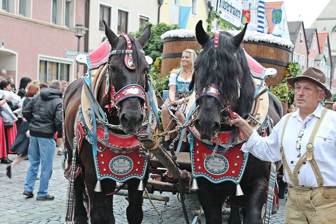 Wiesenfest Kemnath (3)