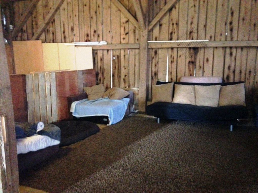 Wilson, Hundekindergarten, Leuchtenberg