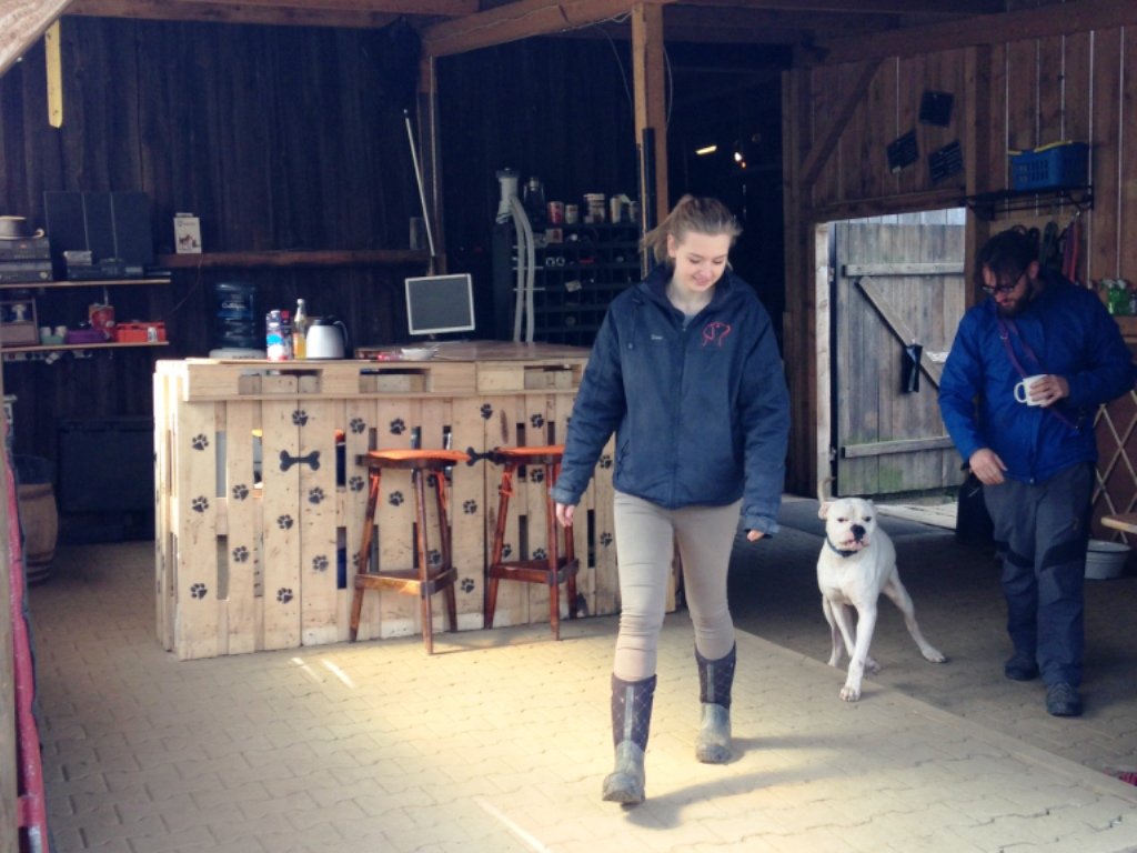 Wilson, Hundekindergarten, Leuchtenberg