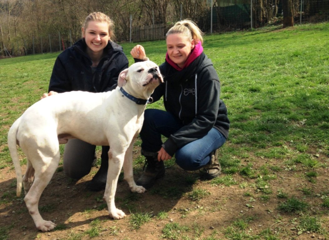 Wilson, Hundekindergarten, Leuchtenberg