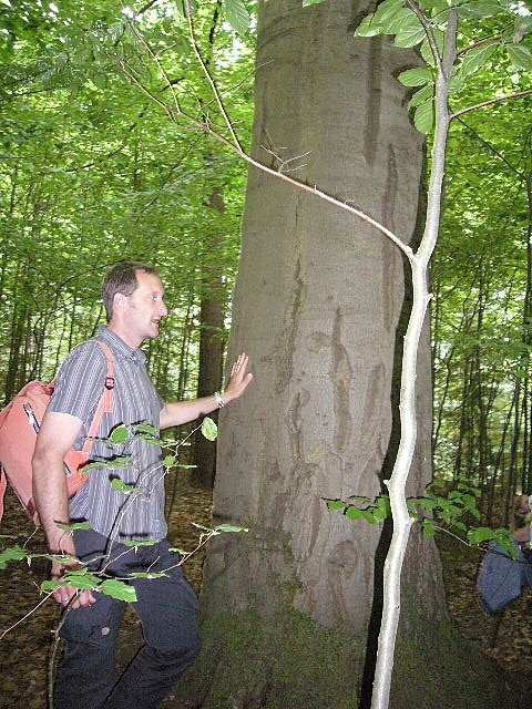 Zur National-Elf in Weidens Wäldern