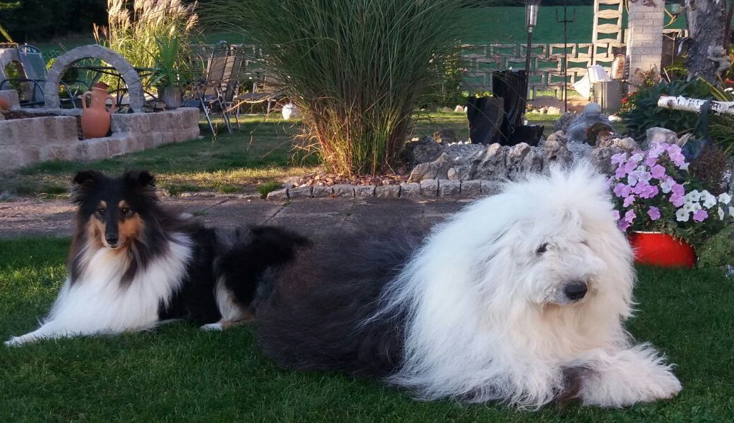 Wolle und Queeny