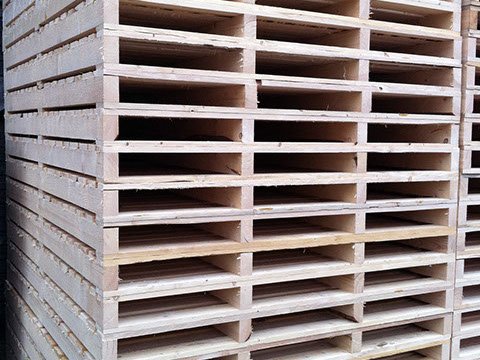 Advertorial-Firma-Weck