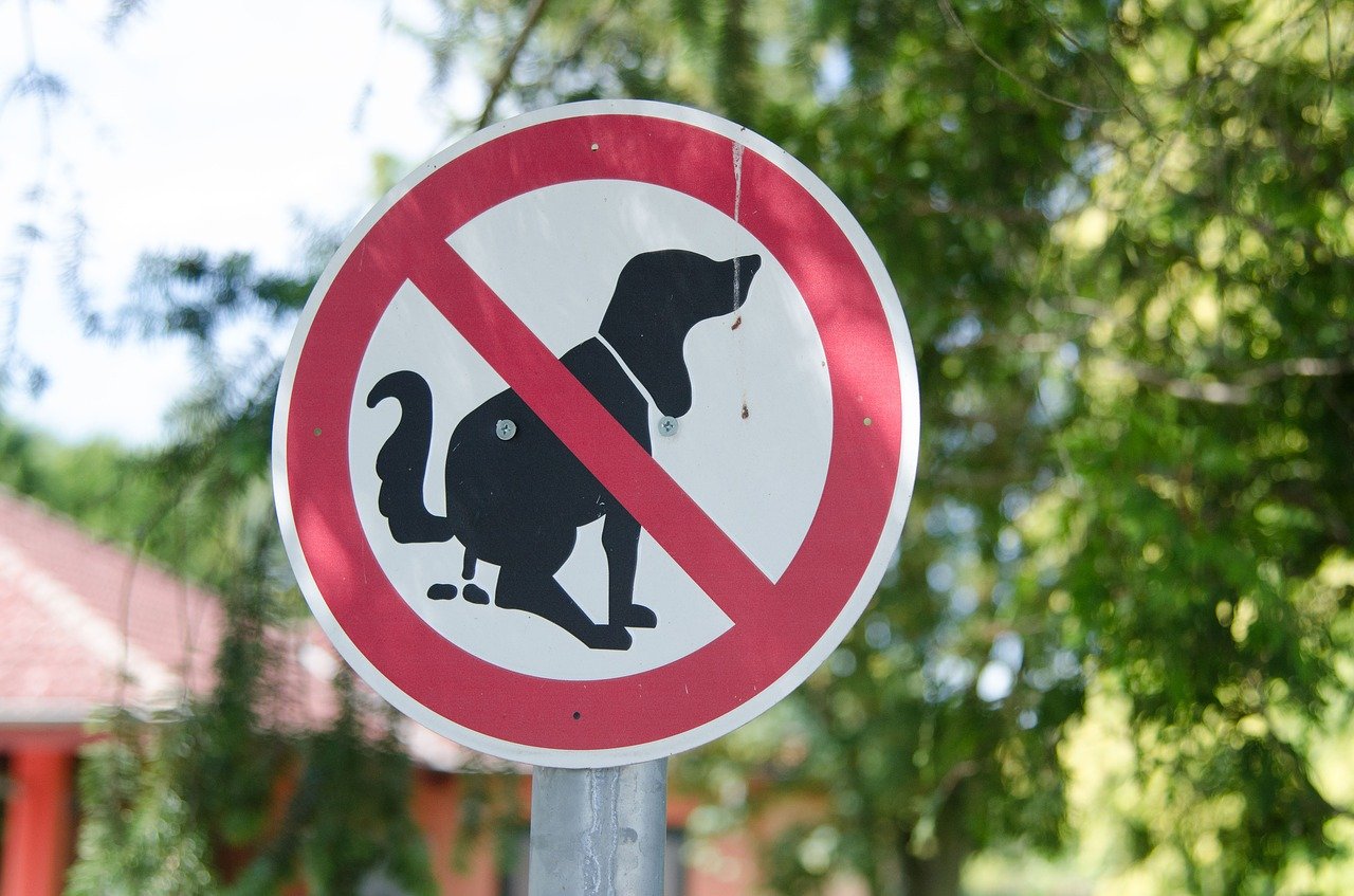 Hund Schild Hundehaufen