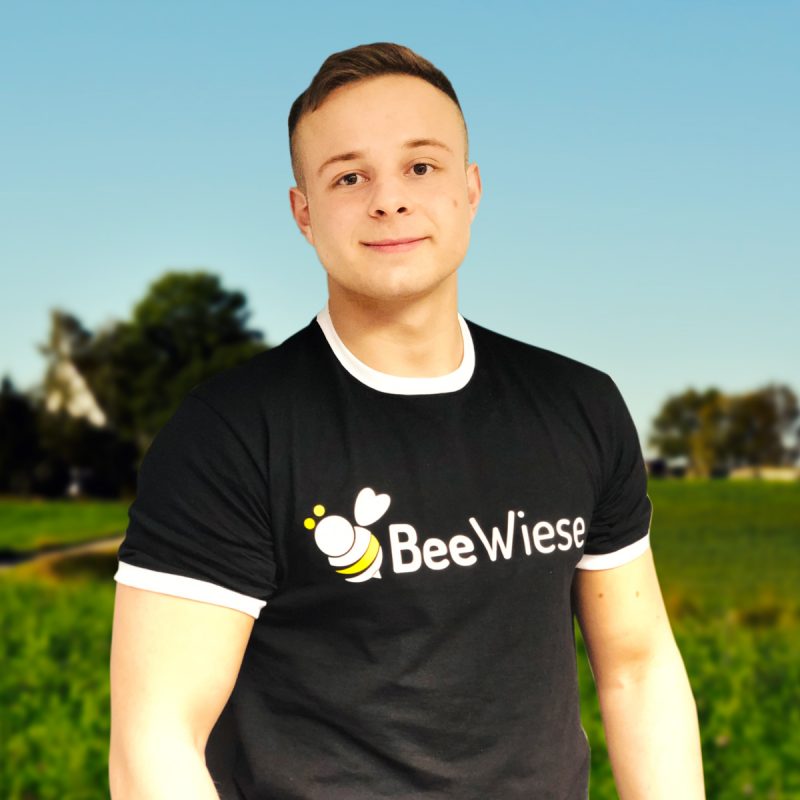 BeeWiese Projekt Atenschutz