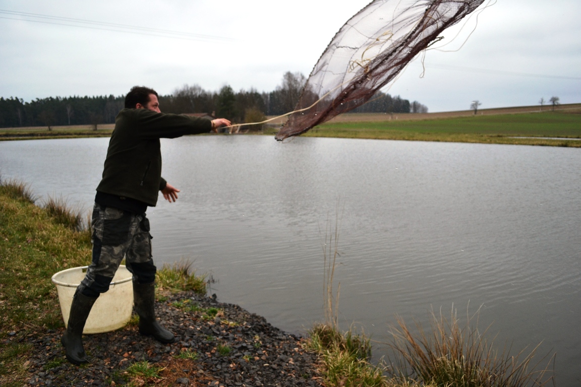 Kormoran Weiher Familie Bächer