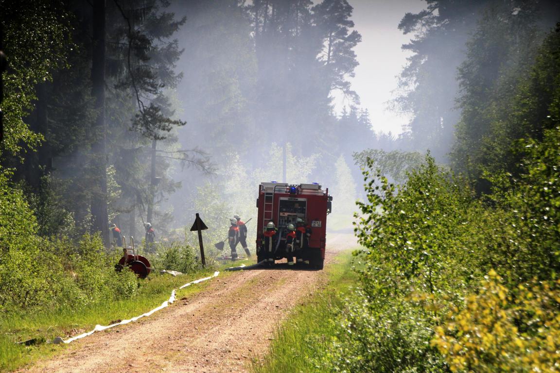 Waldbrand_Pressath_Grafenwöhr, Feuerwehr, Rauch, Brand