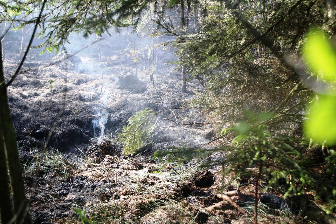 Waldbrand_Pressath_Grafenwöhr, Feuer, Wald, Rauch