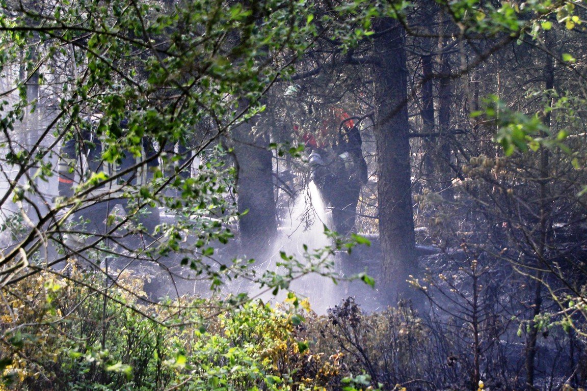 Waldbrand_Pressath_Grafenwöhr, Rauch, Feuer, löschen, Feuerwehr