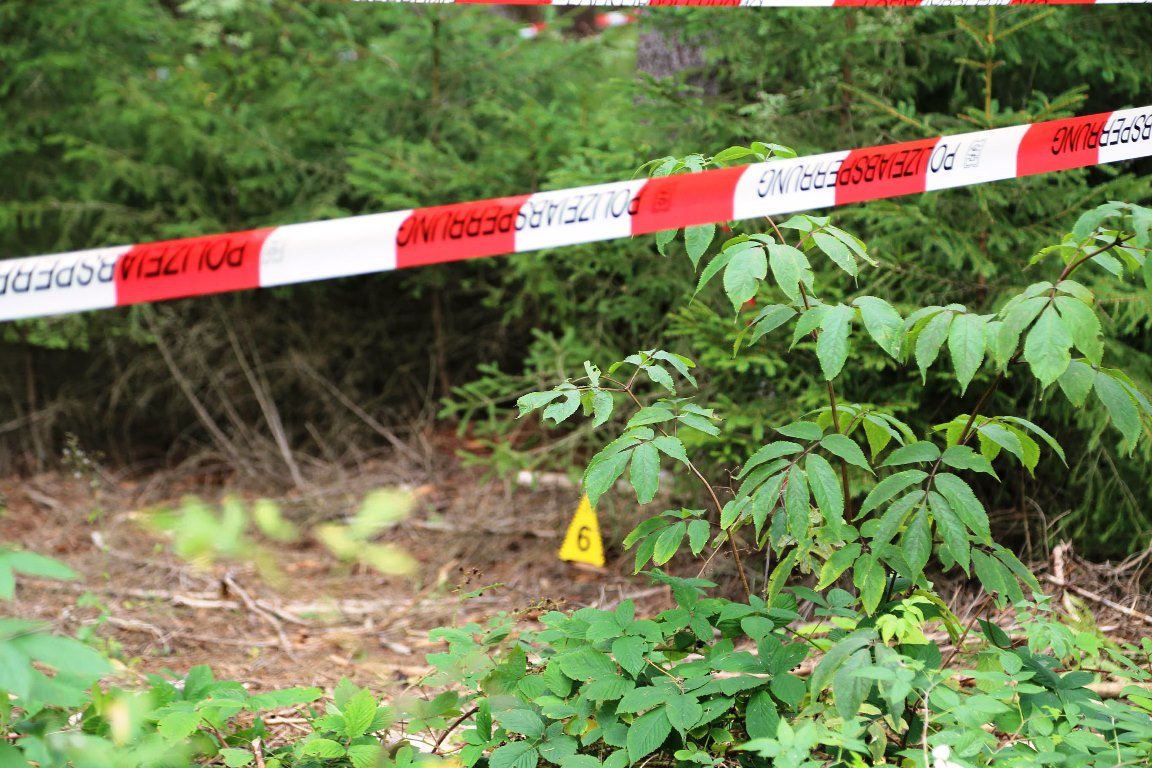 Spaziergänger finden Schädel im Wald