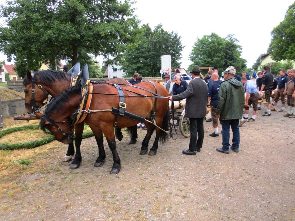 oberpfälzer Freilandmuseum Neusath-Perschen2, Pferde, Kutsche, Kaltblüter