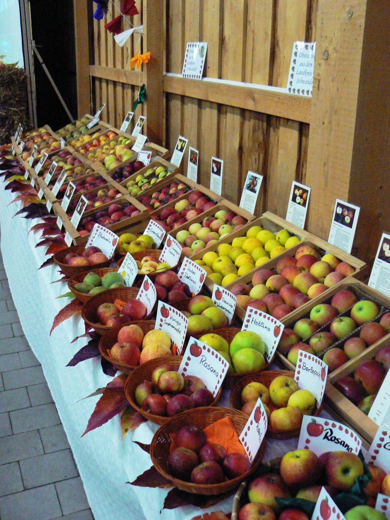 Obstausstellung