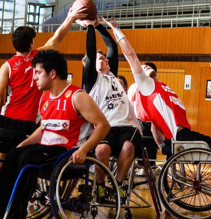 Rollactiv Baskets Weiden