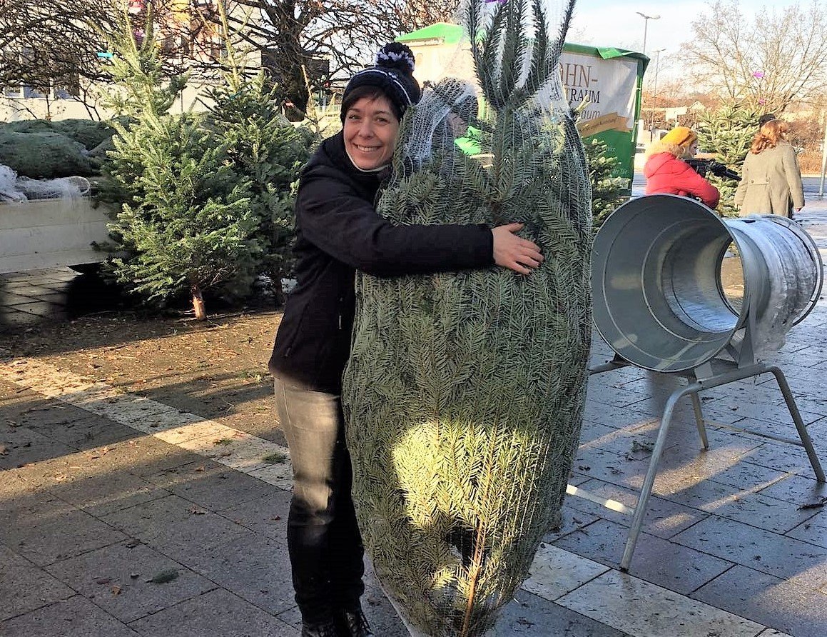 Weihnachtsbaumverkauf