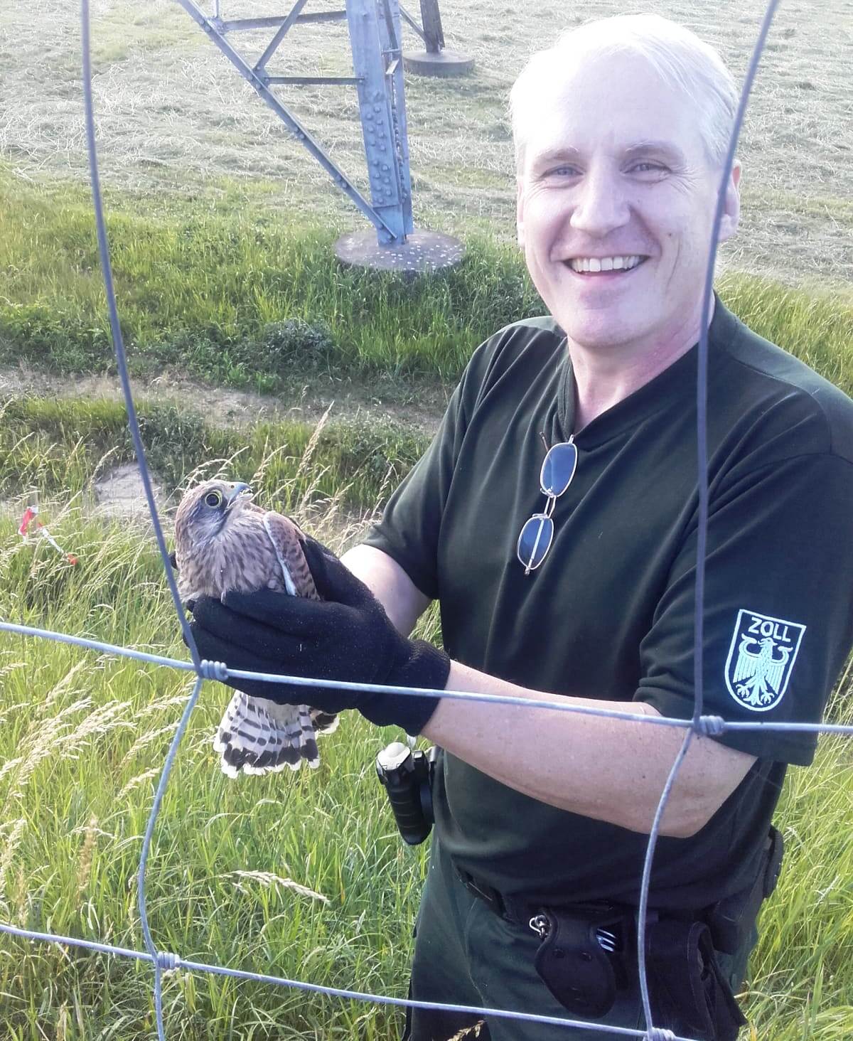 Turmfalke Rettung Zoll Waidhaus