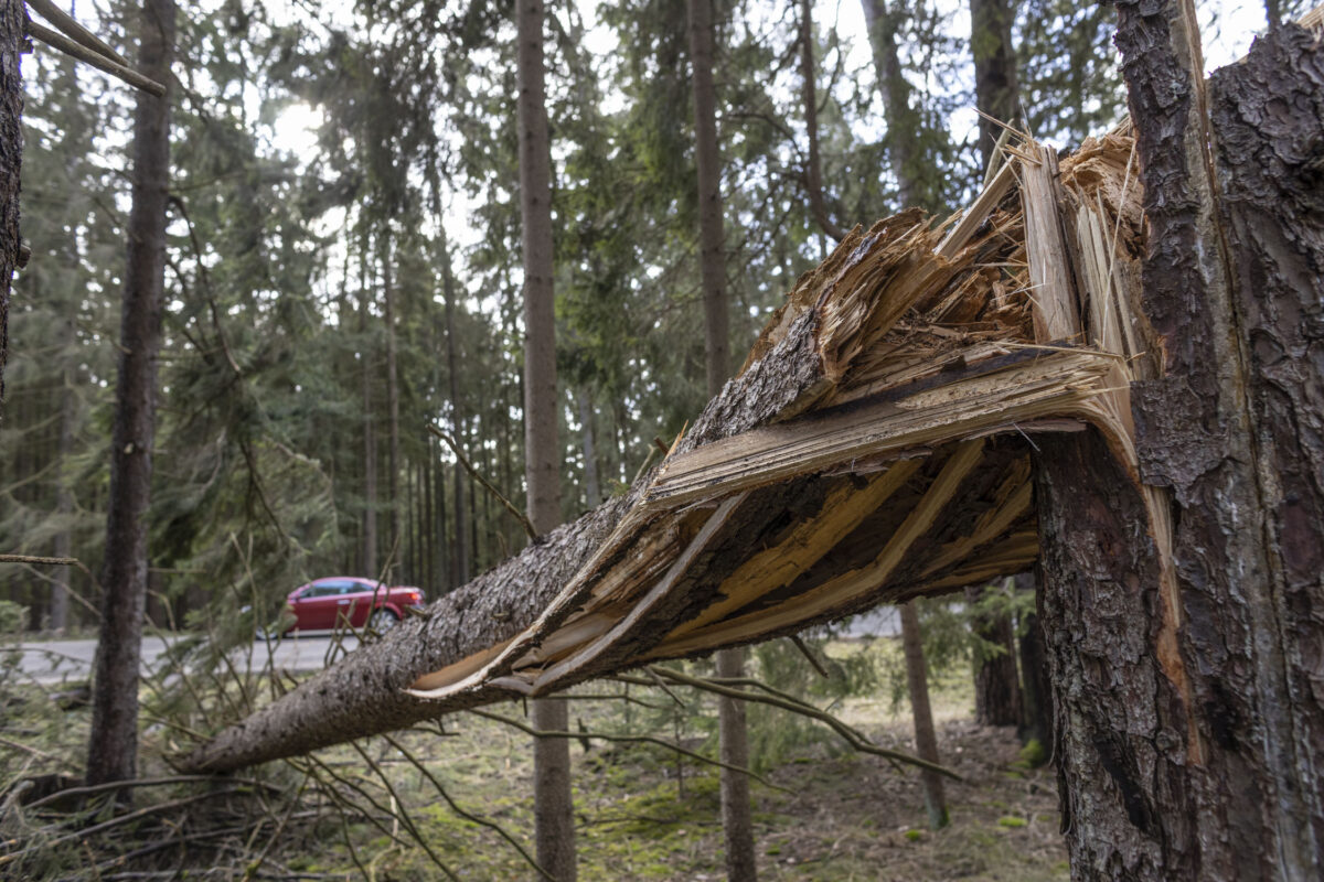 Sturmwarnung: Auf "Ylenia" folgt "Zeynep"