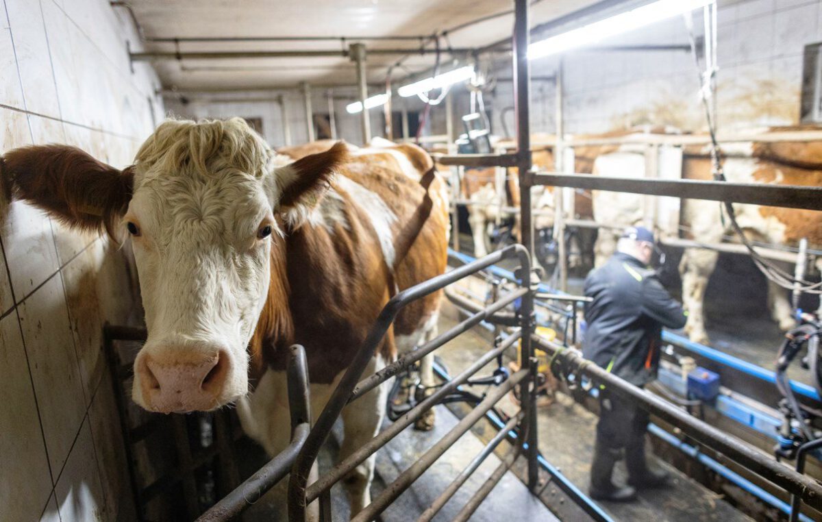 Die Sendung mit den Bauern: Eine Übersicht